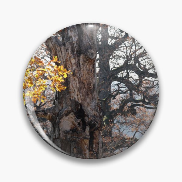 Item preview, Autumn mood in nature designed and sold by Sigtrix.