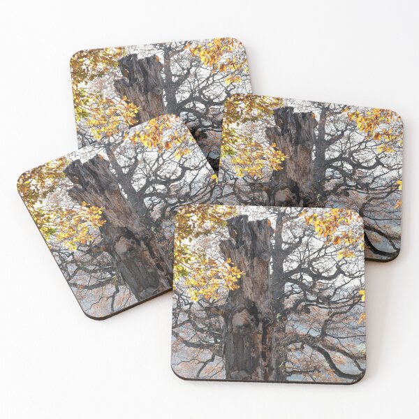Item preview, Autumn mood in nature designed and sold by Sigtrix.