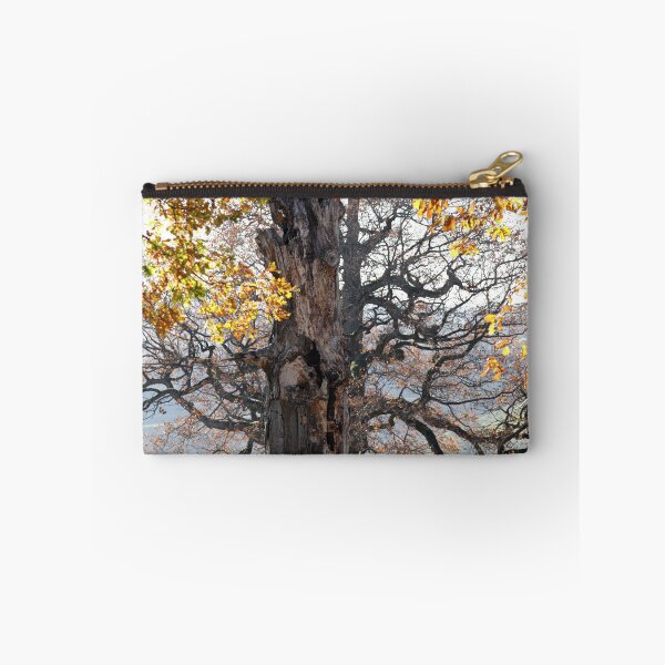 Item preview, Autumn mood in nature designed and sold by Sigtrix.