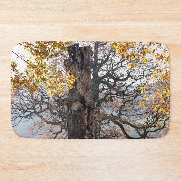 Item preview, Autumn mood in nature designed and sold by Sigtrix.