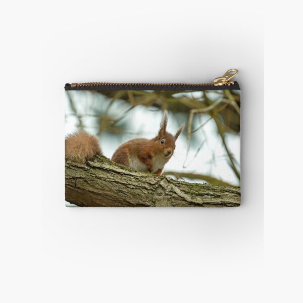 Item preview, Red Squirrel in Tree designed and sold by Sue Robinson.