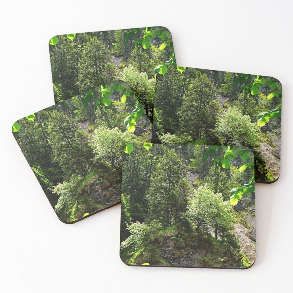 Item preview, Trees in the forest | Nature photography designed and sold by Mii-pics.