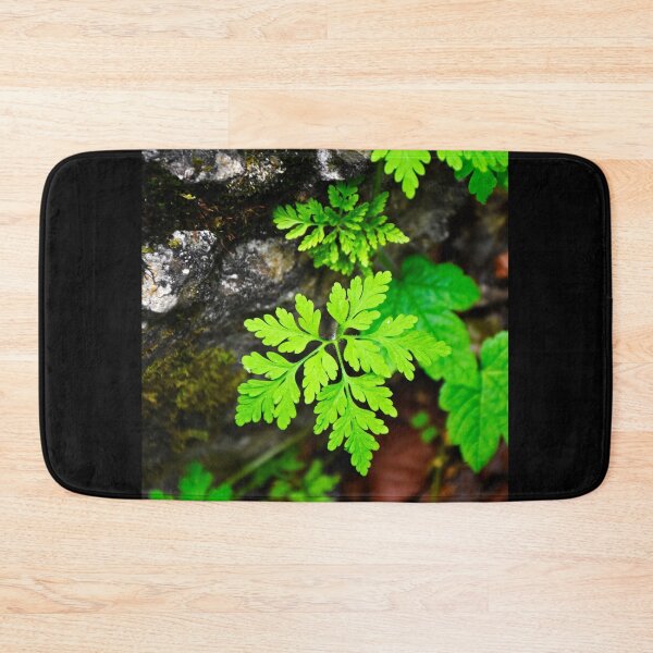 Item preview, Plant 3 | Nature photography designed and sold by Mii-pics.