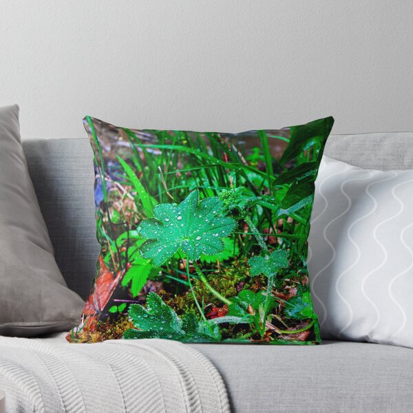Item preview, Plant with raindrops | Nature photography designed and sold by Mii-pics.