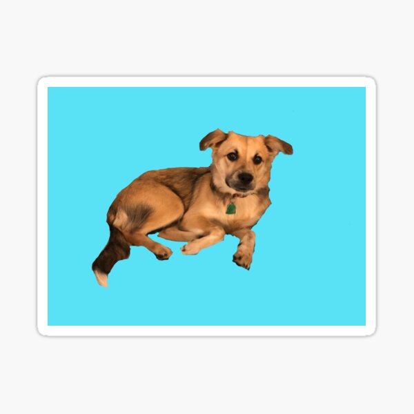 Sally on Baby Blue Sticker