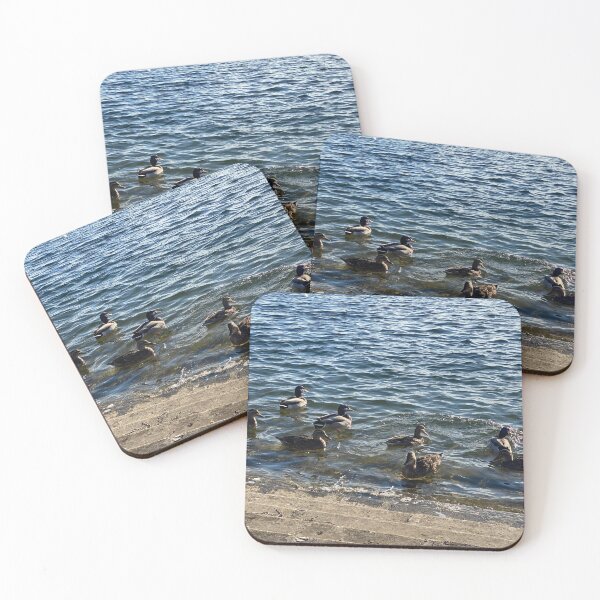 Item preview, Reservoir Ducks! designed and sold by R-DPhotos.