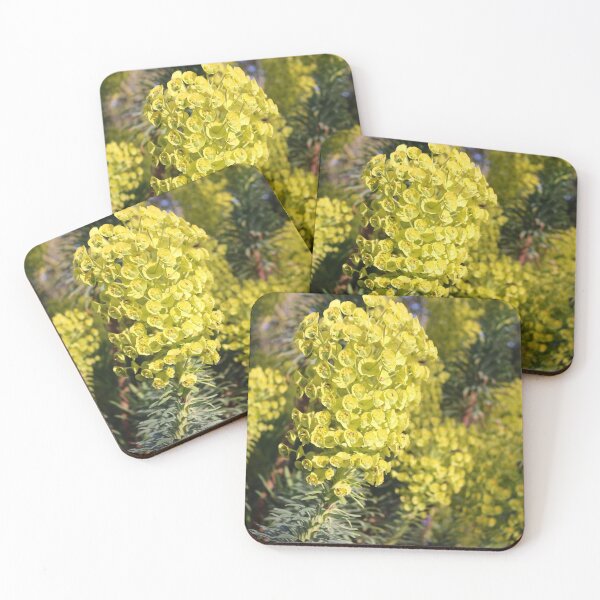 Item preview, Mediterranean spurge designed and sold by pinkal.
