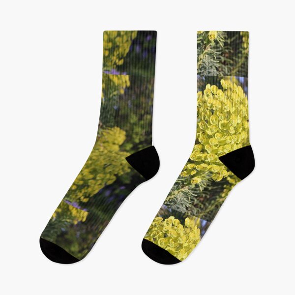 Item preview, Mediterranean spurge designed and sold by pinkal.