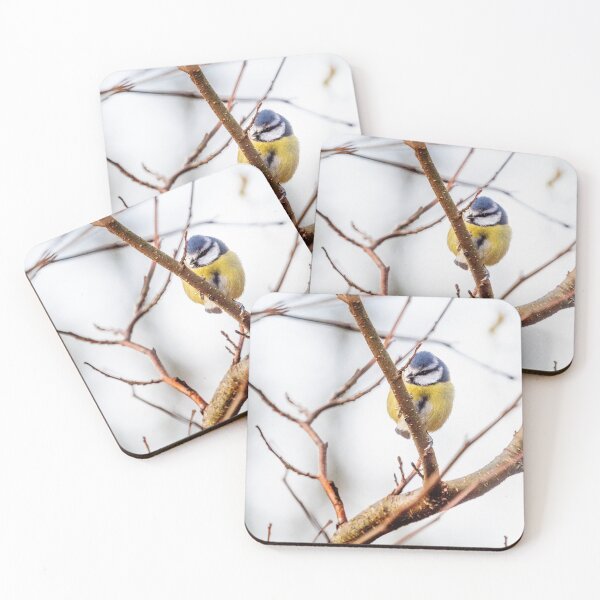 Item preview, Blue Tit designed and sold by Tony Skerl.