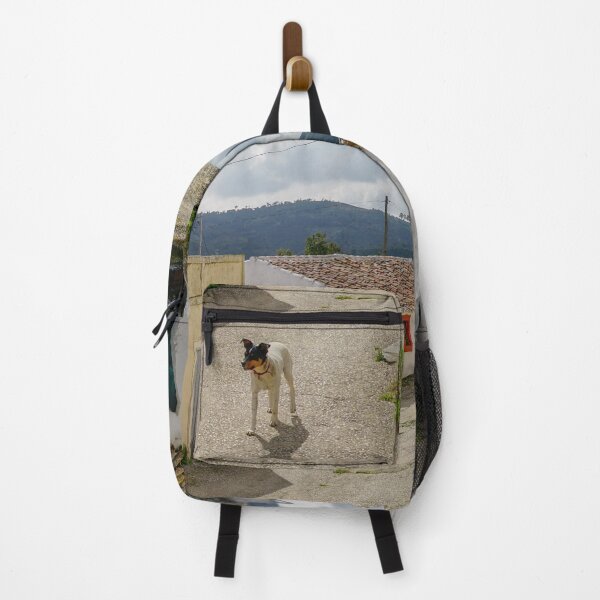 Item preview, A Cute Puppy In an Old Portuguese Village designed and sold by AWomanAfoot.