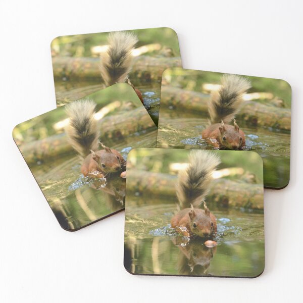 Item preview, Splashy Squirrel designed and sold by Chris Monks.