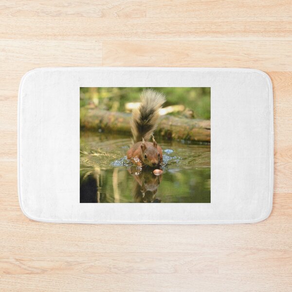 Item preview, Splashy Squirrel designed and sold by Chris Monks.
