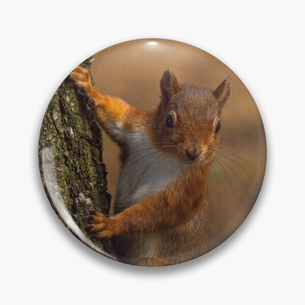 Item preview, Red Squirrel  designed and sold by Rosscoe1985.