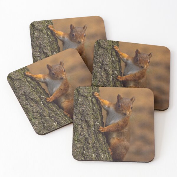 Item preview, Red Squirrel  designed and sold by Rosscoe1985.