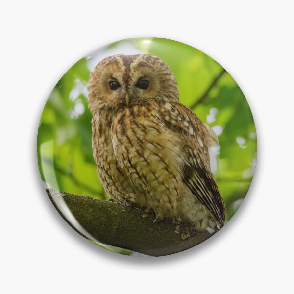 Item preview, Tawny Owl designed and sold by Rosscoe1985.