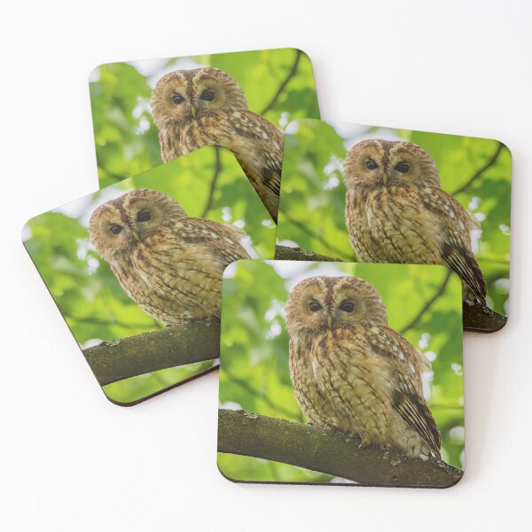 Item preview, Tawny Owl designed and sold by Rosscoe1985.