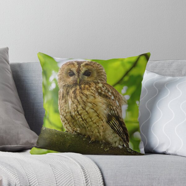 Item preview, Tawny Owl designed and sold by Rosscoe1985.