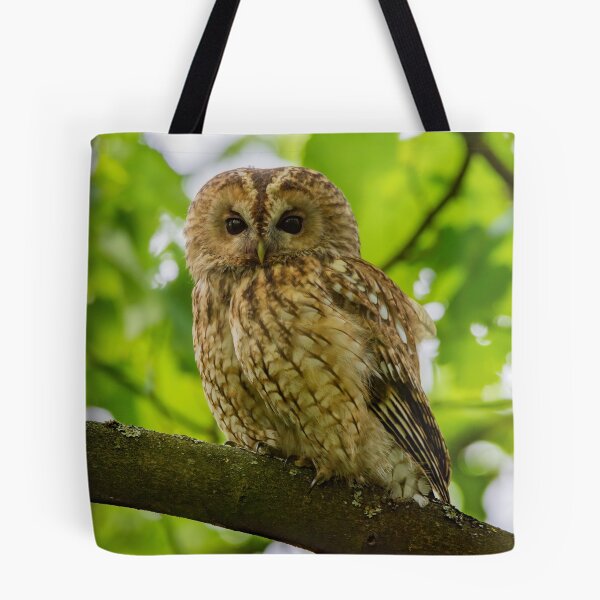 Item preview, Tawny Owl designed and sold by Rosscoe1985.