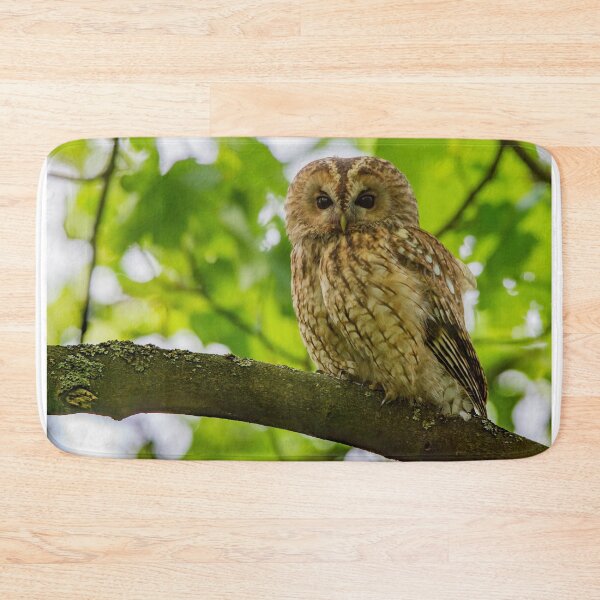 Item preview, Tawny Owl designed and sold by Rosscoe1985.