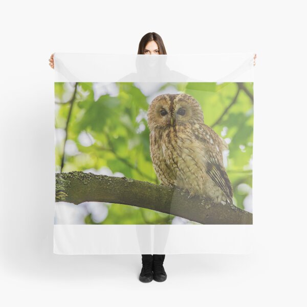 Item preview, Tawny Owl designed and sold by Rosscoe1985.