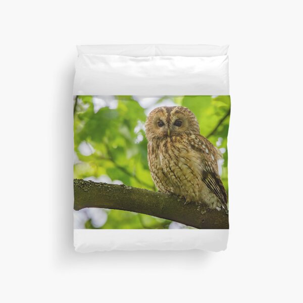 Item preview, Tawny Owl designed and sold by Rosscoe1985.