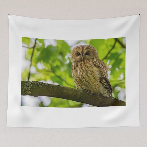 Item preview, Tawny Owl designed and sold by Rosscoe1985.