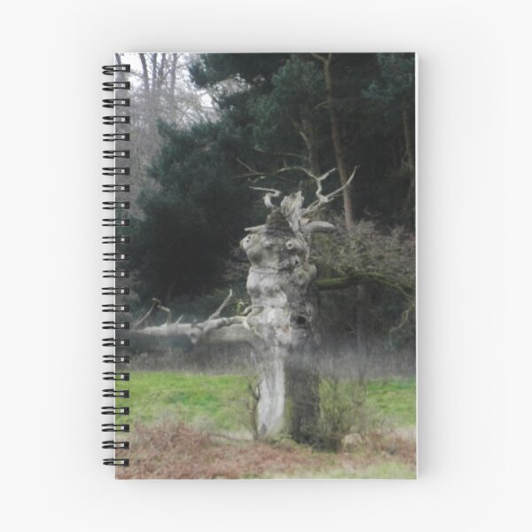 Item preview, Weird tree designed and sold by TOFFS.