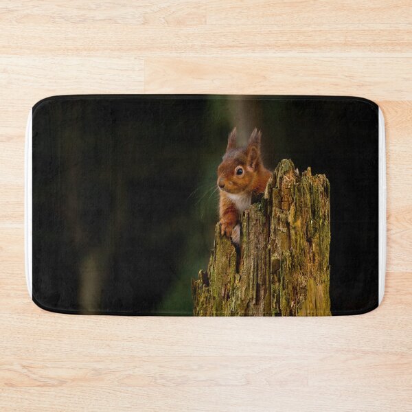 Item preview, Red Squirrel  designed and sold by Rosscoe1985.