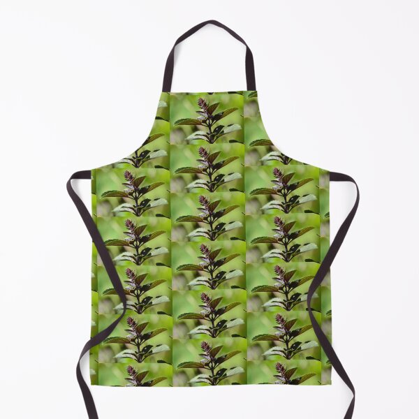Item preview, Purple basil in the urban garden designed and sold by wineandwords.