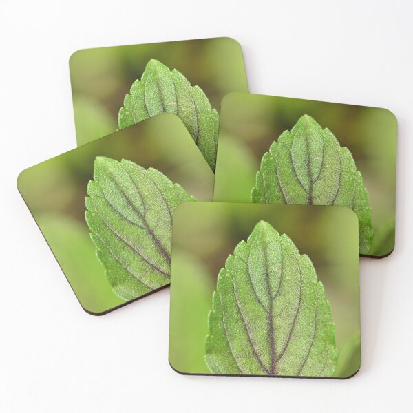 Item preview, Purple basil leaf in the urban garden designed and sold by wineandwords.