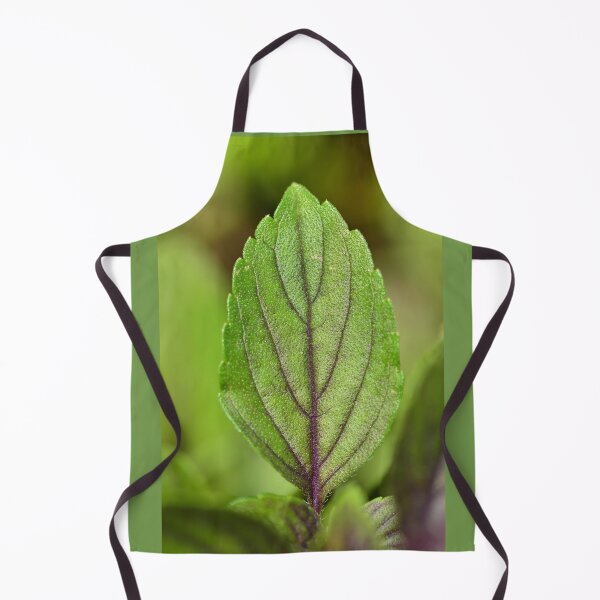 Item preview, Purple basil leaf in the urban garden designed and sold by wineandwords.