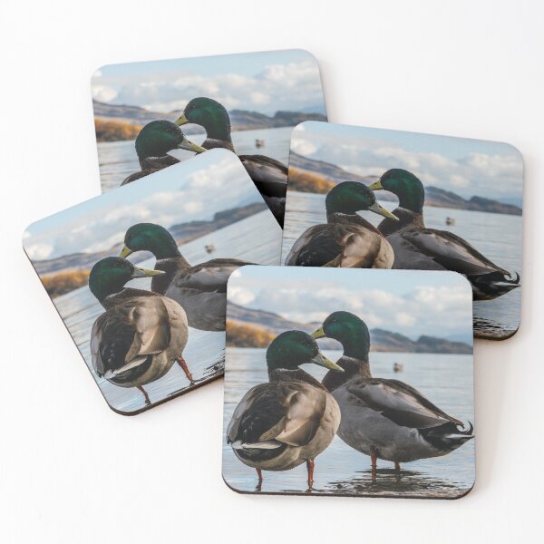 Artikelvorschau, Wasservogel Jagt Ente Stockente Gans Jagdsaison Wasser entworfen und verkauft von DOM-Shop.