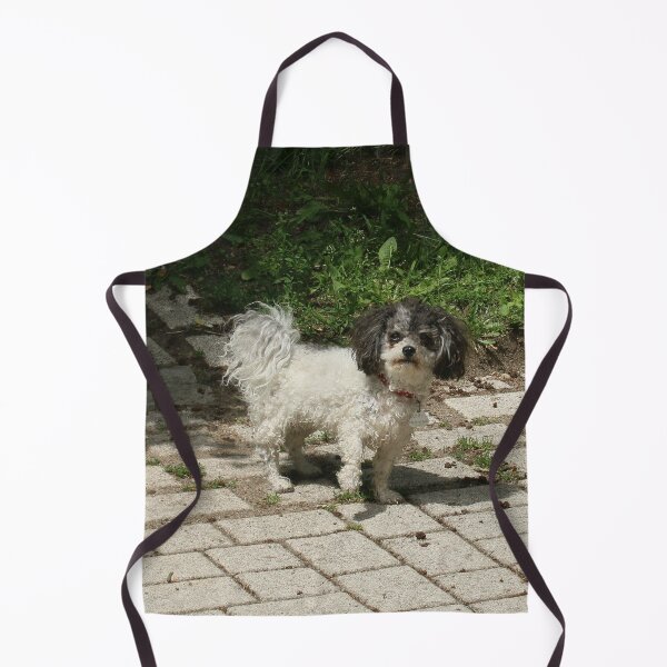 Artikelvorschau, Ein kleiner Hund entworfen und verkauft von NW-Photo-Art.