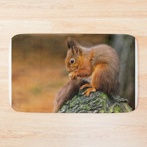 Item preview, Red Squirrel  designed and sold by Rosscoe1985.
