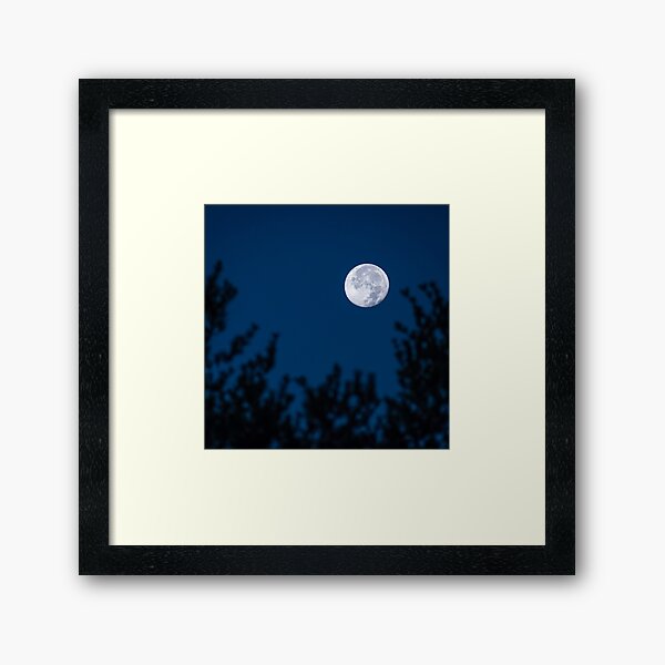 Blue Moon in the Morning Framed Art Print