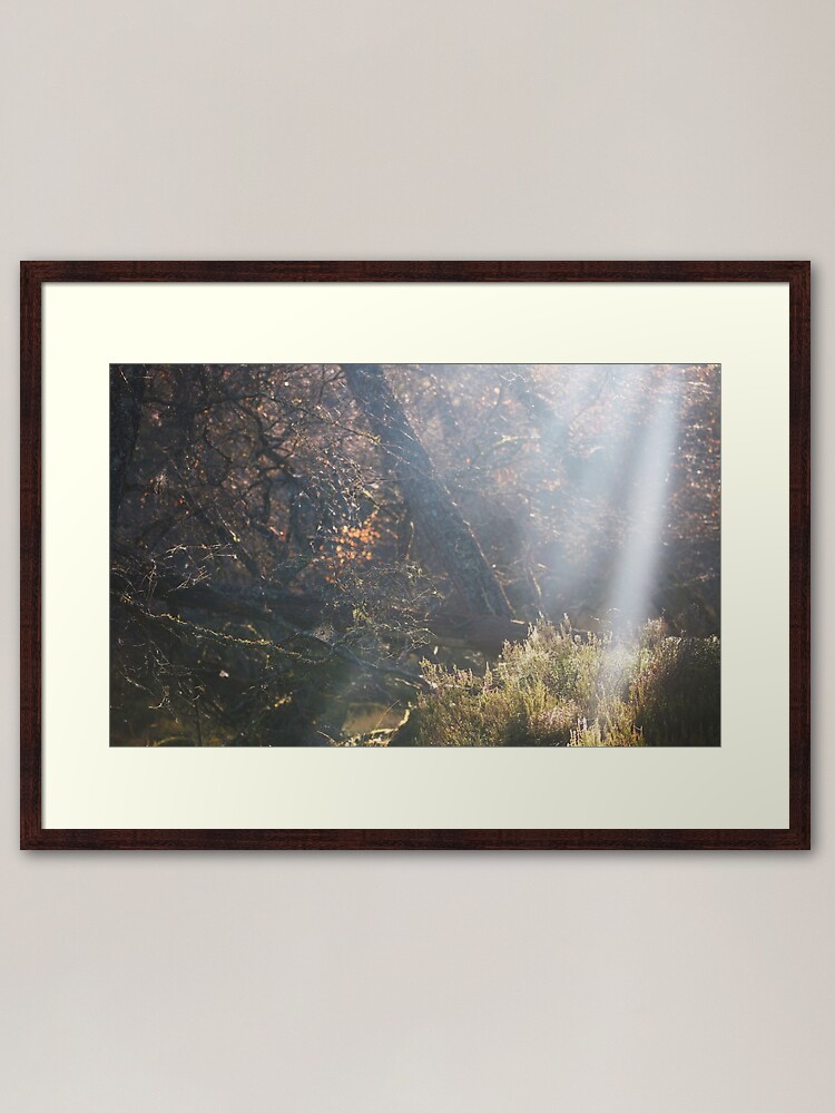 Alternate view of Autumn in the Woods Framed Art Print