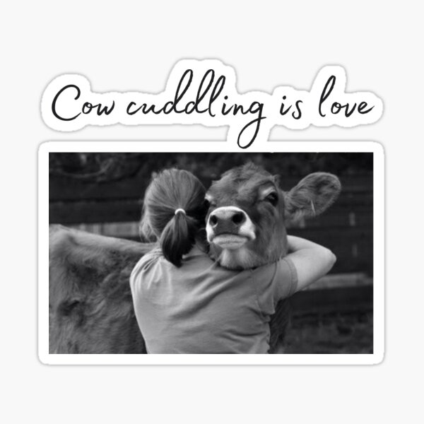 “Cow Cuddling Is Love” Sticker for Sale by CaptainPiku | Redbubble