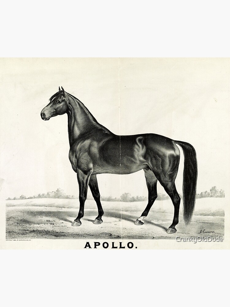 Apollo - sired by Seneca Chief - 1885 - Currier & Ives by CrankyOldDude
