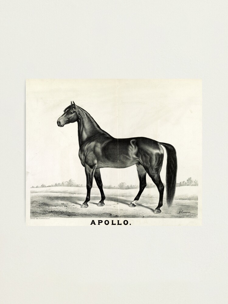 Alternate view of Apollo - sired by Seneca Chief - 1885 - Currier & Ives Photographic Print