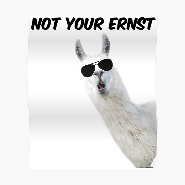 Not your Ernst Denglisch Alpaka Lama mit Sonnenbrille Poster