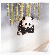 Panda In The Snow Poster