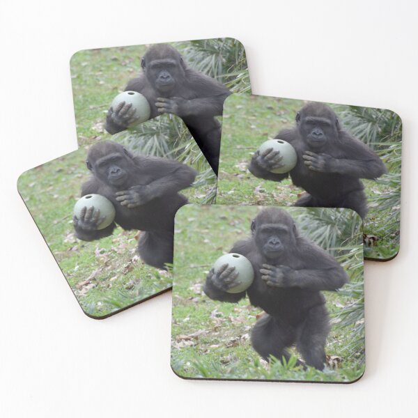 Item preview, Gorilla Moke at the National Zoo designed and sold by Zoo and Nature Photography by Karie.