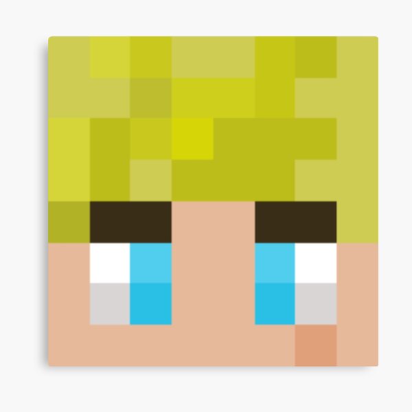 Featured image of post The Best 14 Skin Philza Minecraft Face