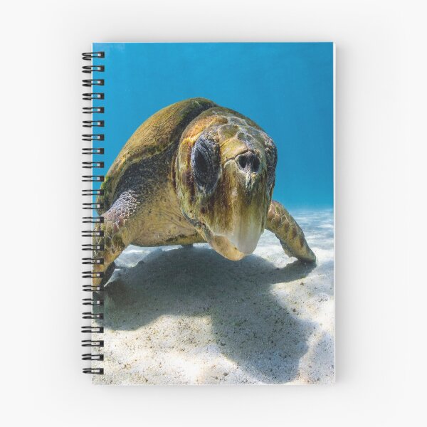 Item preview, Sea Turtle Diving designed and sold by bubble-bulb.