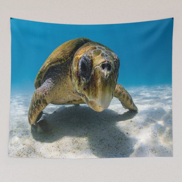 Item preview, Sea Turtle Diving designed and sold by bubble-bulb.