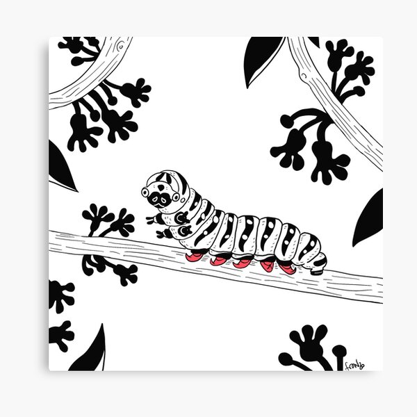 Shoes Canvas Print