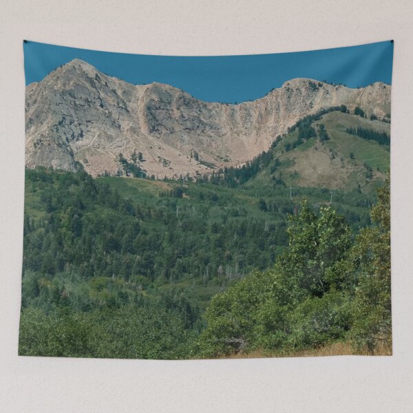 Aperçu de l'œuvre Beauté pittoresque de la montagne avec des plantes sauvages, des arbres, un ciel bleu et des nuages créée et vendue par Ventures1.