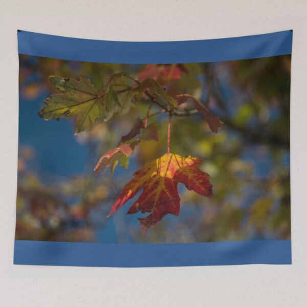 Item preview, Painted Leaves designed and sold by TinyCameraNinja.