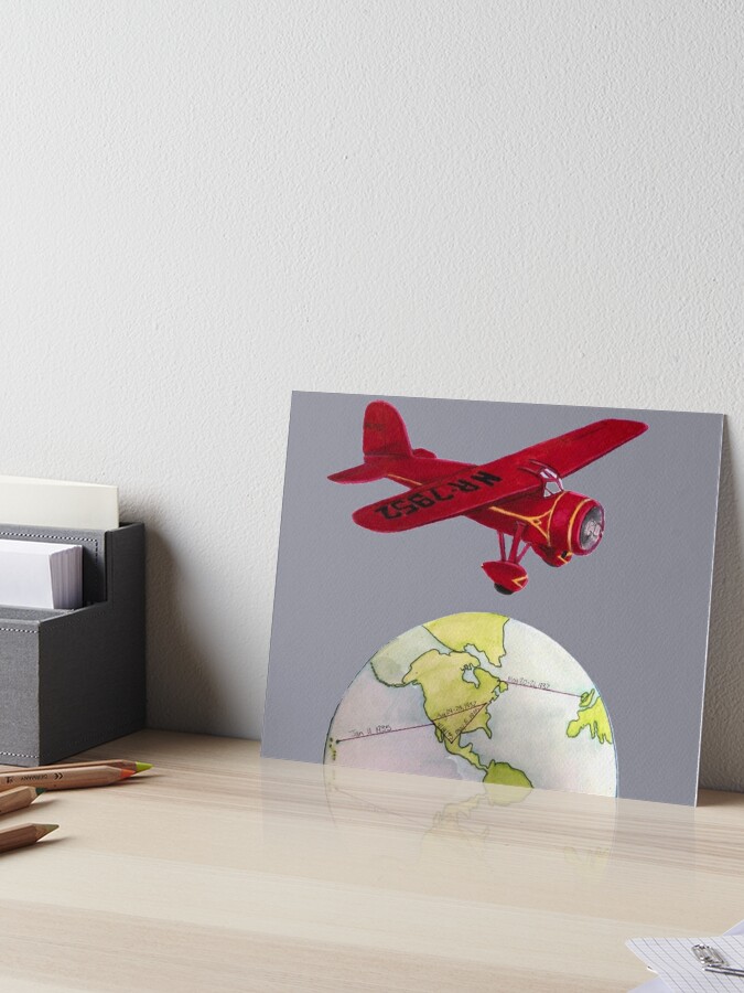 Airplane Print Throw Pillow - Amelia Aviation