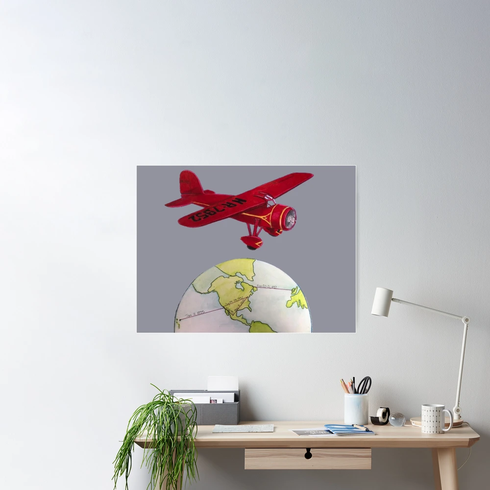 Airplane Print Throw Pillow - Amelia Aviation